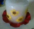 /album/markpato/flor-jpg/